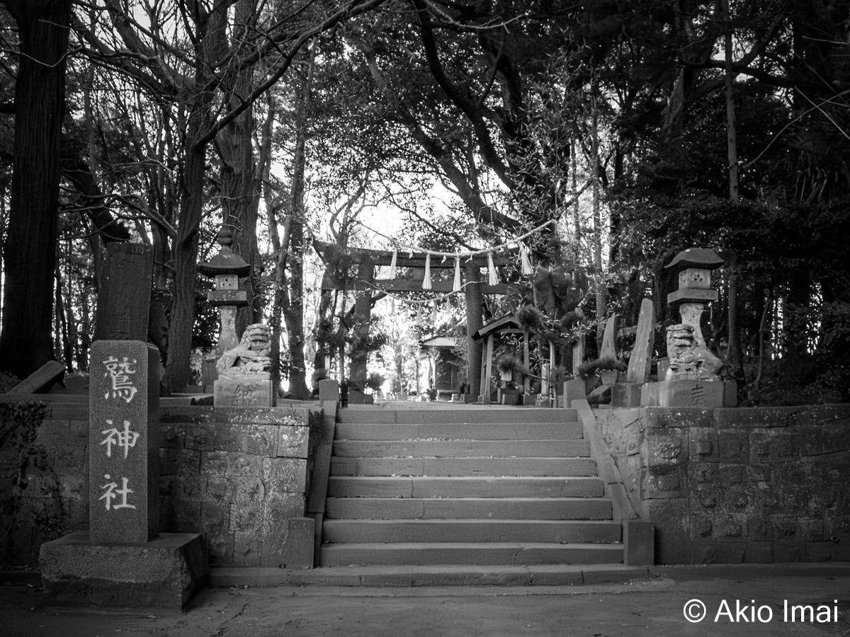 先崎　鷲神社